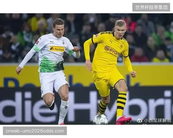 本塞拜尼的健康状况将是阿尔及利亚后防线稳定性的关键变量。